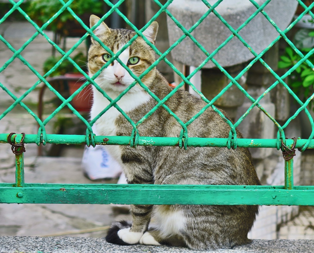 Фото: pixabay.com