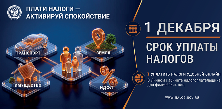 Что такое налоговое уведомление и как его исполнить